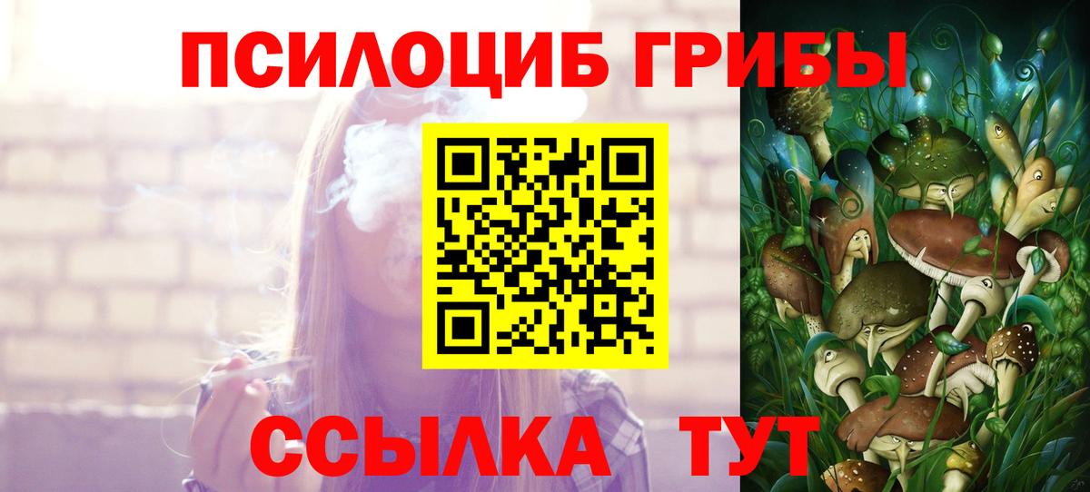 Галлюциногенные грибы Cubensis  Вход с VPN  Псилоцибиновые грибы Cubensis  Шарыпово 